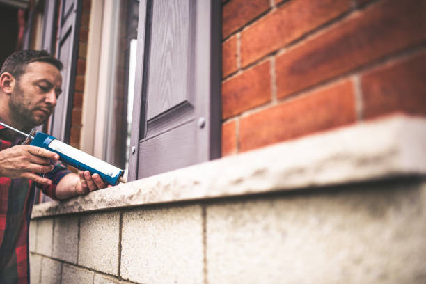 Best Specialized Insulation Services in Wilton, IA