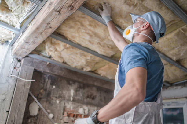 Best DIY Insulation Kits and Guidance in Wilton, IA