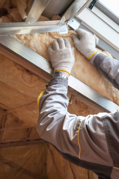 Types of Insulation We Offer in Wilton, IA