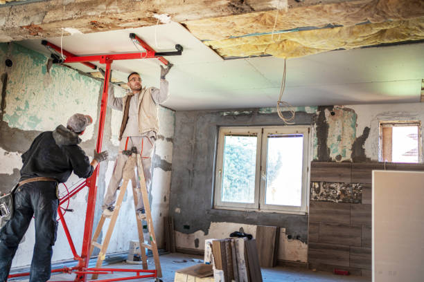 Best Spray Foam Insulation in Wilton, IA