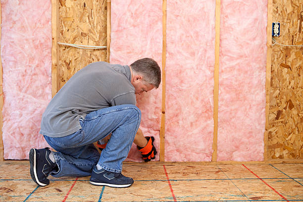 Best Energy Efficiency Insulation in Wilton, IA