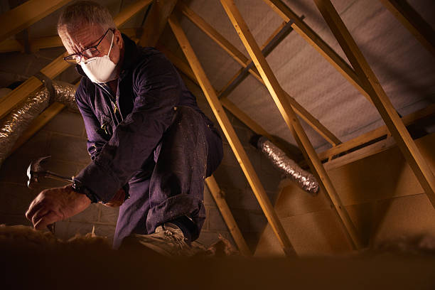 Best Geographic-Specific Insulation Services in Wilton, IA