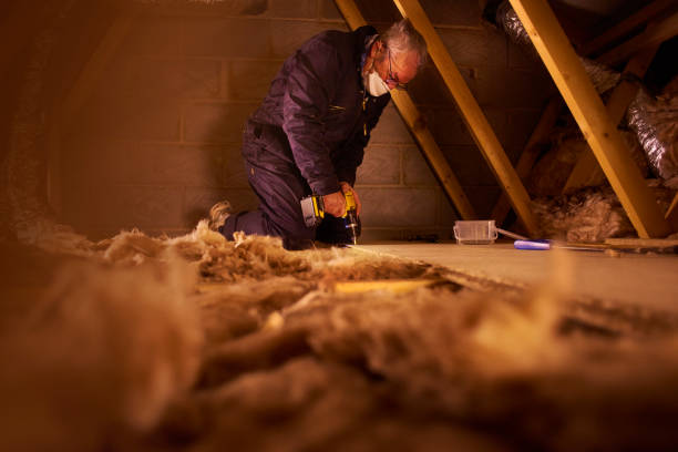 Best DIY Insulation Kits and Guidance in Wilton, IA